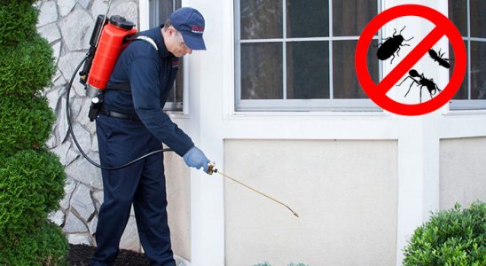 Doğanşehir Bit İlaçlama böcek ilaçlama ve haşere kontrolü — ilaclama-tr.com